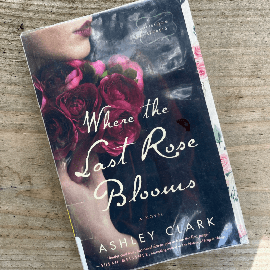 Where the Last Rose Blooms by Ashley Clark