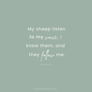 My sheep listen to my voice; I know them, and they follow me.