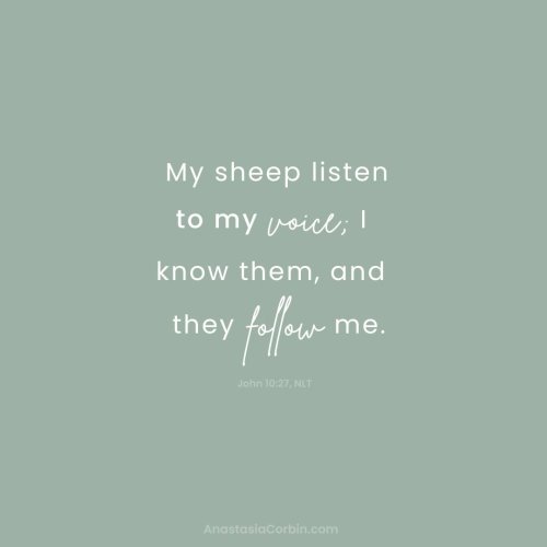 My sheep listen to my voice; I know them, and they follow me.