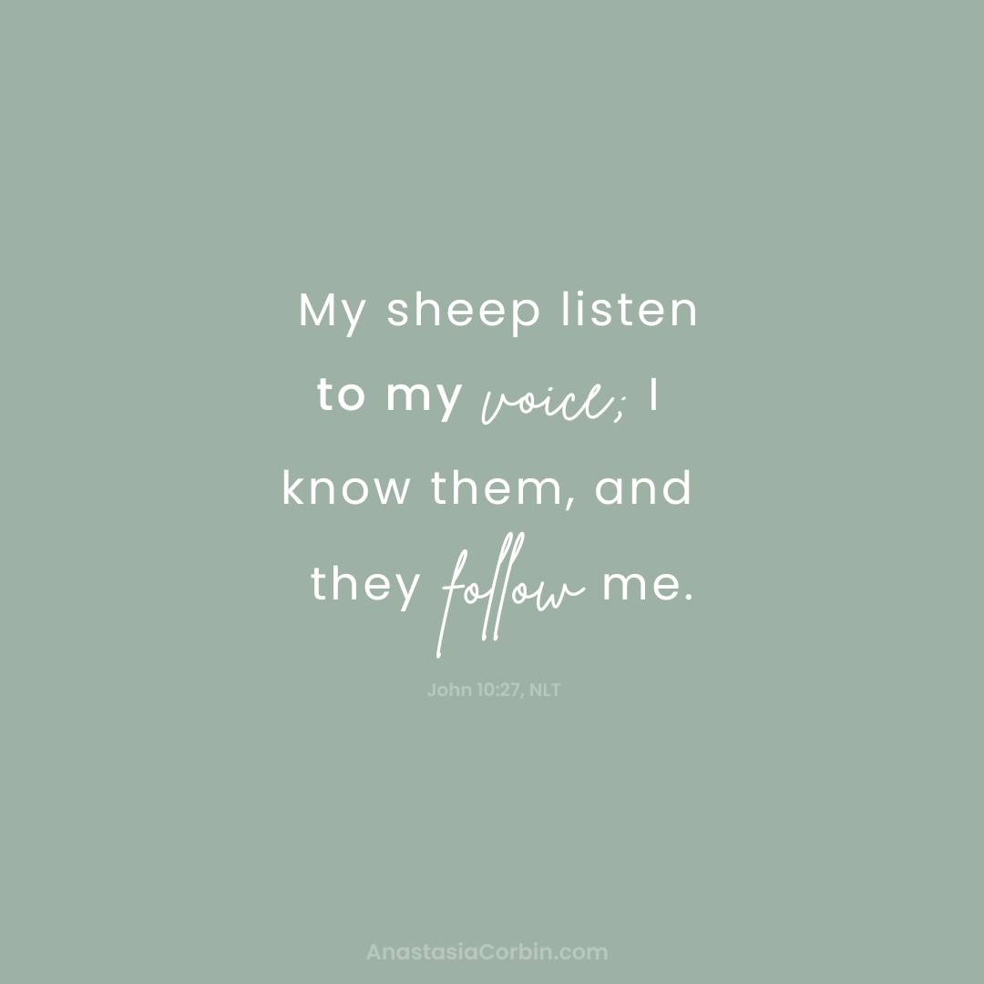 My sheep listen to my voice; I know them, and they follow me.
