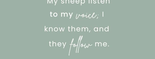 My sheep listen to my voice; I know them, and they follow me.